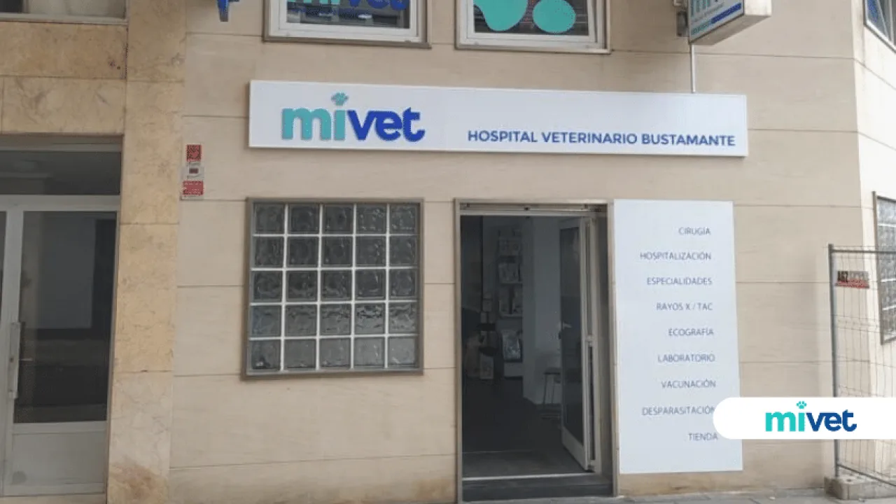 Hospital Veterinario Bustamante (MiVet)