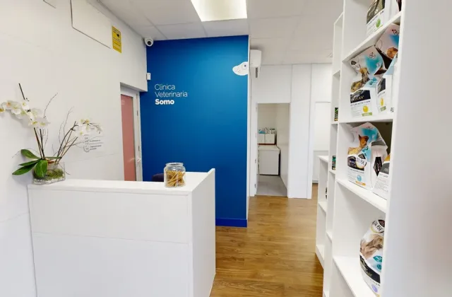 Clínica Veterinaria Somo