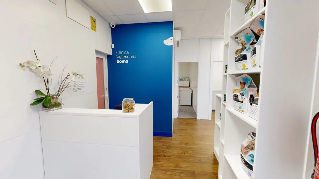 Clínica Veterinaria Somo