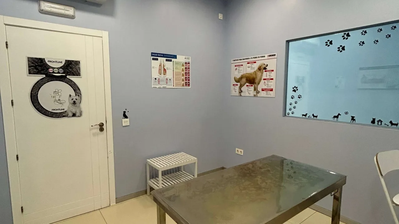 Hospital Veterinario Vetsicor