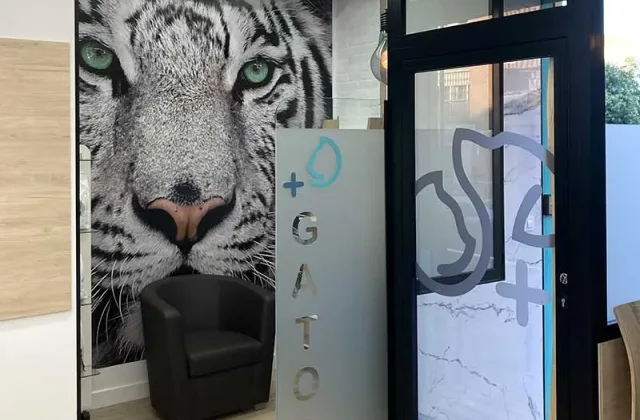 Más Veterinaria