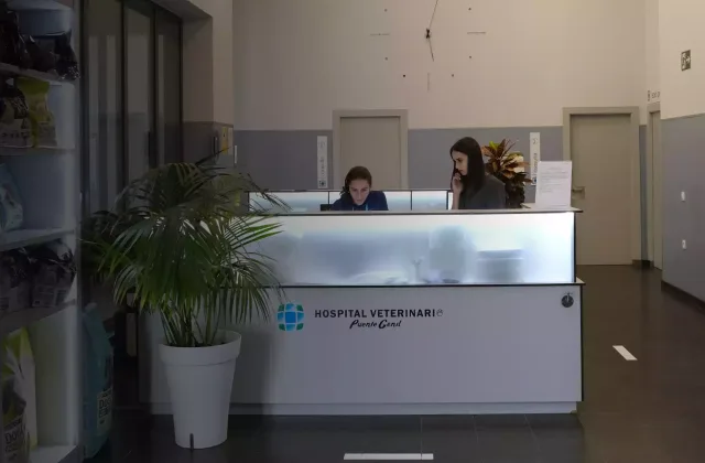 Hospital Veterinario Puente Genil