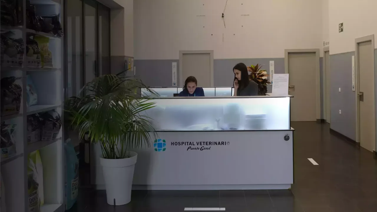 Hospital Veterinario Puente Genil