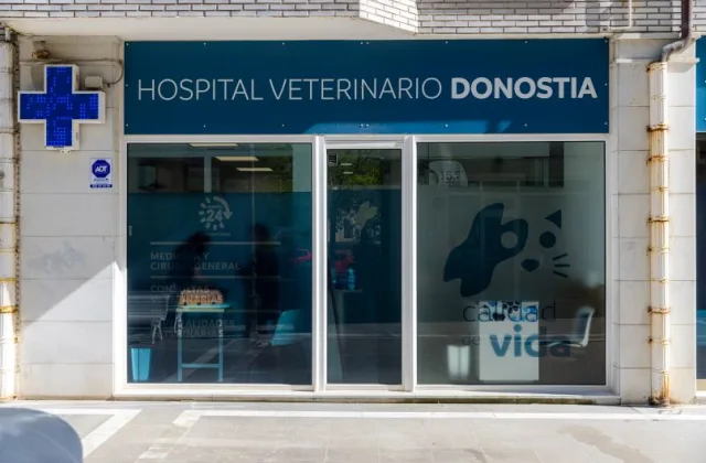 Hospital Veterinario Donostia