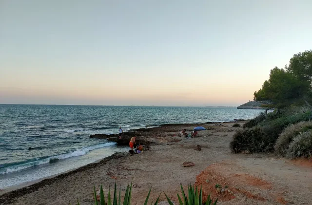 Playa canina de la Renegà