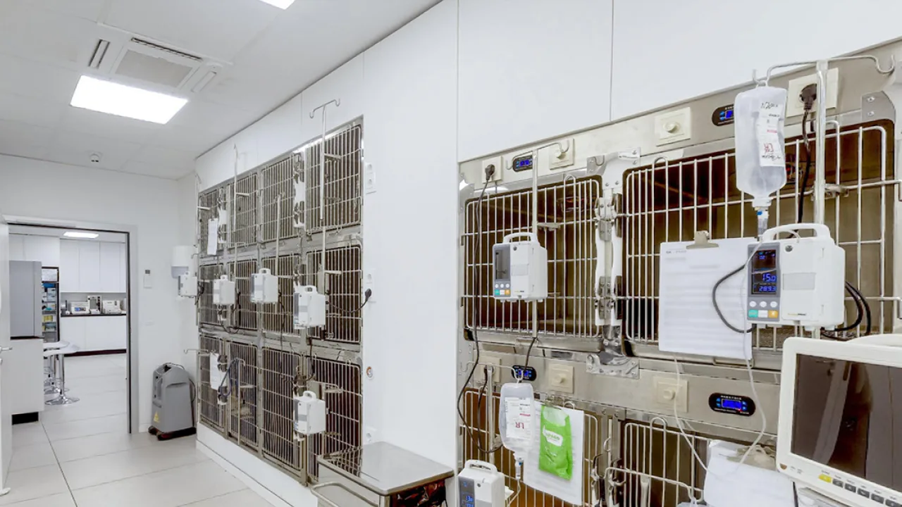 Hospital Veterinario Galápago (Evidensia Granada Centro)