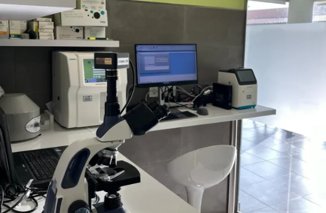 Clínica Veterinaria Granada