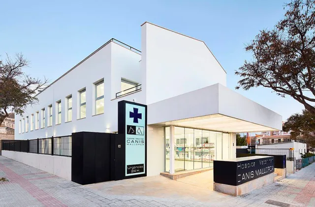 Hospital Veterinari Canis Mallorca
