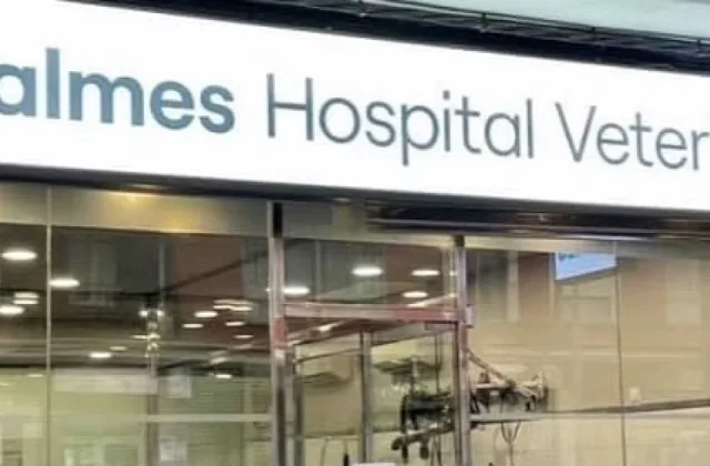 Balmes Hospital Veterinari