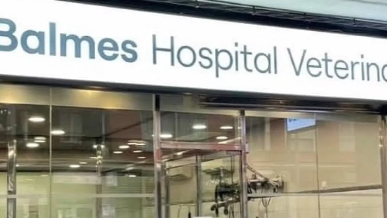 Balmes Hospital Veterinari
