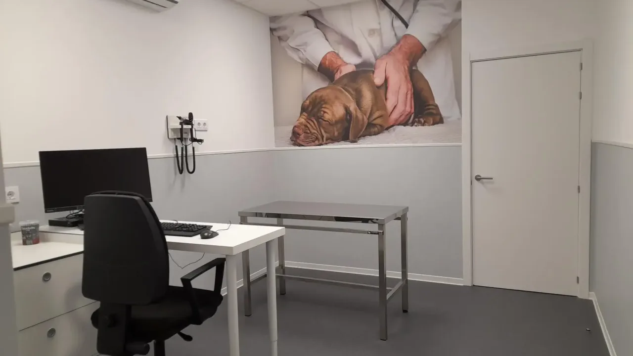 Hospital Veterinario Mallorca Veterinaris (MiVet)